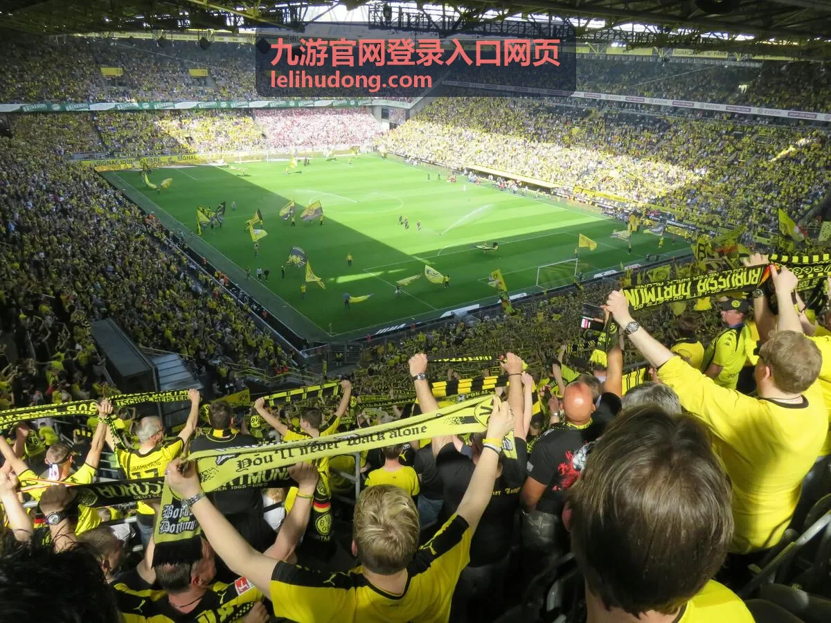 九游官网登录入口网页打开步骤示意