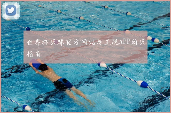 世界杯买球官方网站与正规APP购买指南