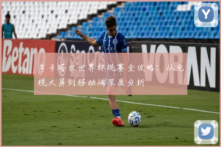 年卡塔尔世界杯观赛全攻略:从电视大屏到移动端深度分析