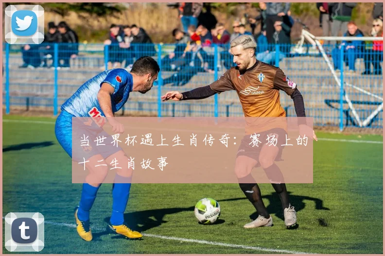 当世界杯遇上生肖传奇：赛场上的十二生肖故事