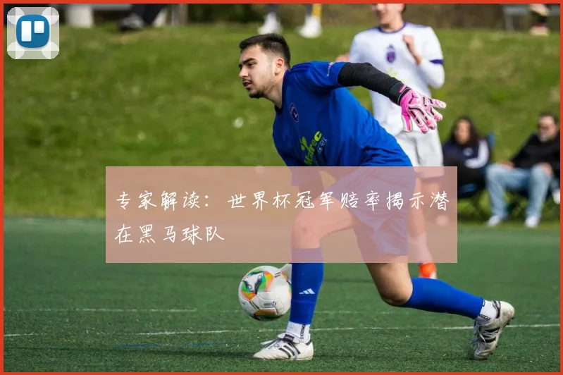 专家解读:世界杯冠军赔率揭示潜在黑马球队