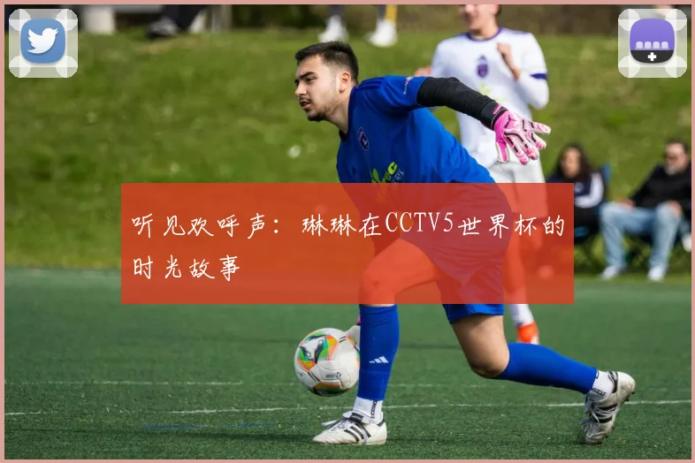 听见欢呼声:琳琳在CCTV5世界杯的时光故事