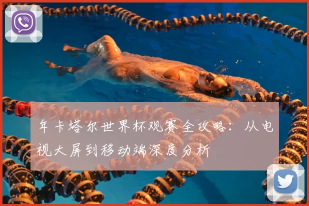 年卡塔尔世界杯观赛全攻略:从电视大屏到移动端深度分析