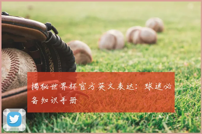揭秘世界杯官方英文表达：球迷必备知识手册