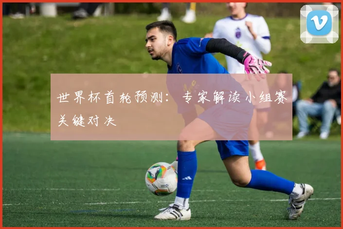 世界杯首轮预测：专家解读小组赛关键对决