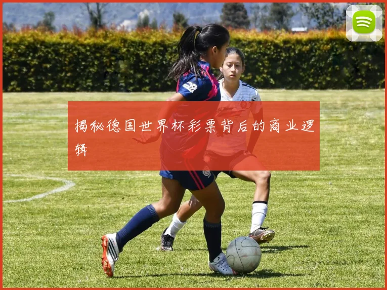 揭秘德国世界杯彩票背后的商业逻辑