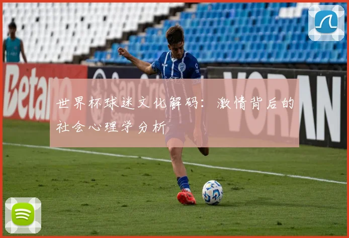 世界杯球迷文化解码：激情背后的社会心理学分析